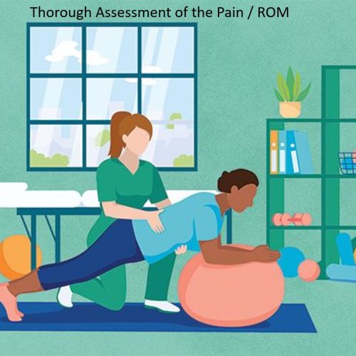 Assessment